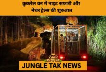 Kukrail Forest to Emerge as Uttar Pradesh’s New Eco-Tourism Hub-JUNGLE TAK