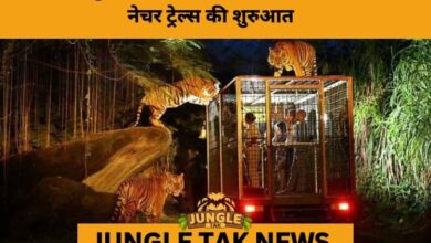 Kukrail Forest to Emerge as Uttar Pradesh’s New Eco-Tourism Hub-JUNGLE TAK