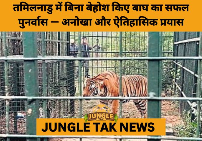 Tamil Nadu Forest Team Achieves 1st-Ever Tiger Rescue Without Sedation- JUNGLE TAK