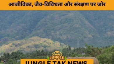 Bonai Forest Division Hosts Seminar to Strengthen Community-Centric Conservation- JUNGLE TAK