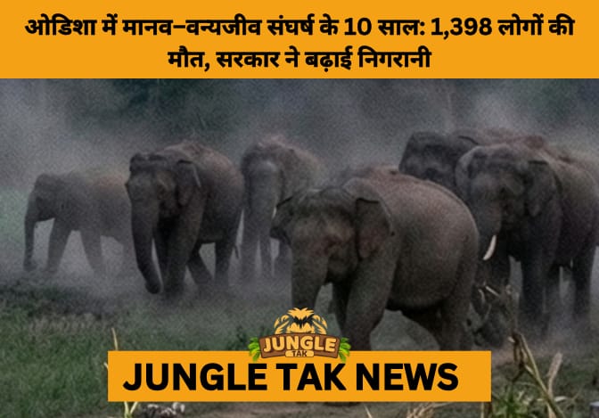 Odisha Reports 1,398 Human Deaths in Decade-Long Man–Animal Conflict- JUNGLE TAK