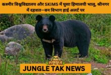 Himalayan Black Bear Triggers Panic at Kashmir University and SKIMS- JUNGLE TAK