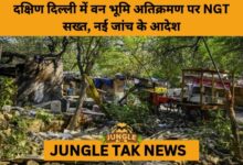 NGT Orders Fresh Probe into Alleged Forest Encroachment in South Delhi- JUNGLE TAK