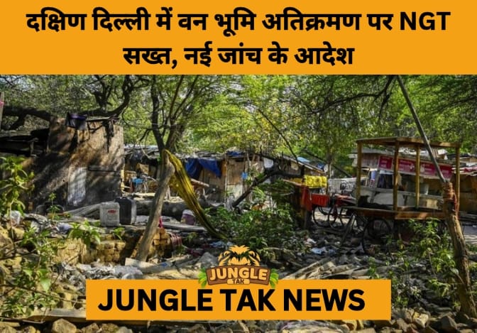 NGT Orders Fresh Probe into Alleged Forest Encroachment in South Delhi- JUNGLE TAK