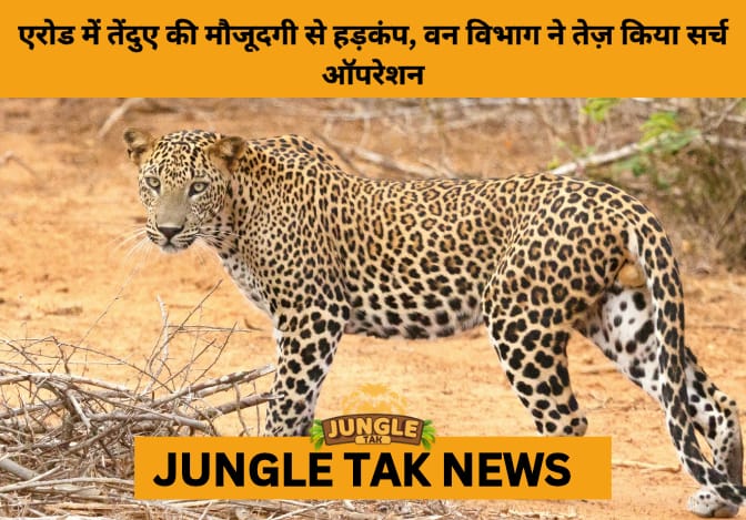 Leopard Sighting Near Sathyamangalam Spurs Intensive Forest Search- JUNGLE TAK