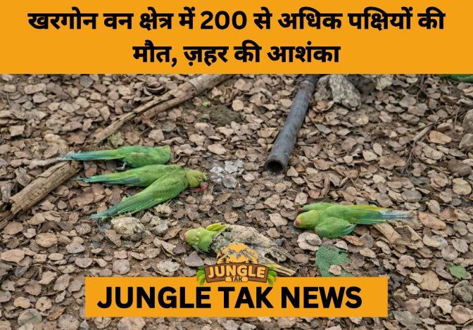 Mass Bird Deaths in MP’s Khargone Forest Raise Poisoning Fears- JUNGLE TAK