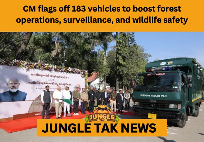 forest operations vehicles forest operations vehicles