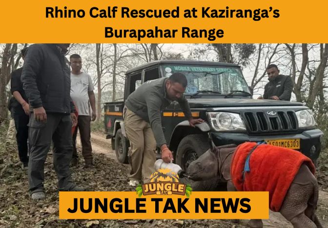 WhatsApp Image 2026-01-30 at 2.56.08 PM rhino calf rescued at Kaziranga