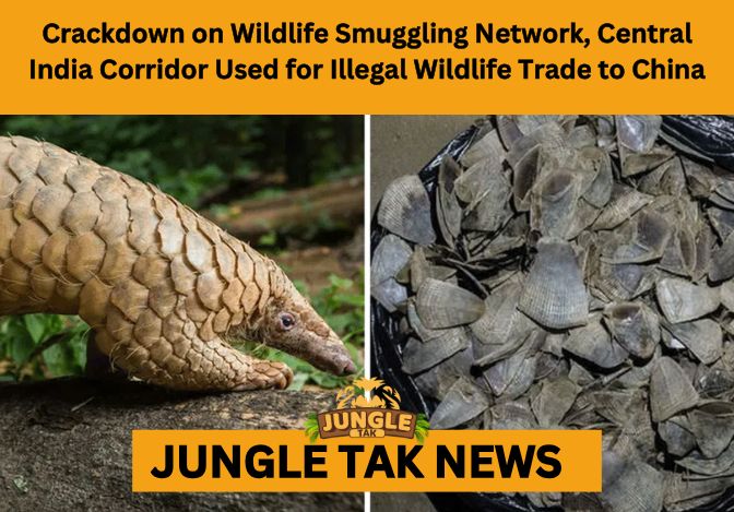 illegal wildlife trade to China illegal wildlife trade to China