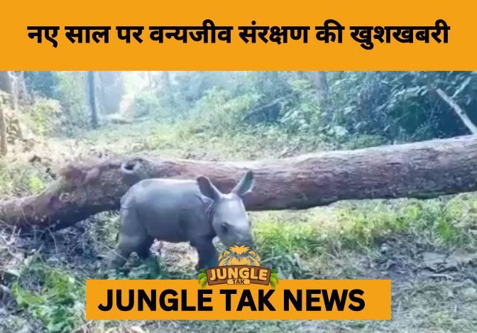 New Year Brings New Life: One-Horned Rhino Calf Born in Jaldapara National Park- JUNGLE TAK