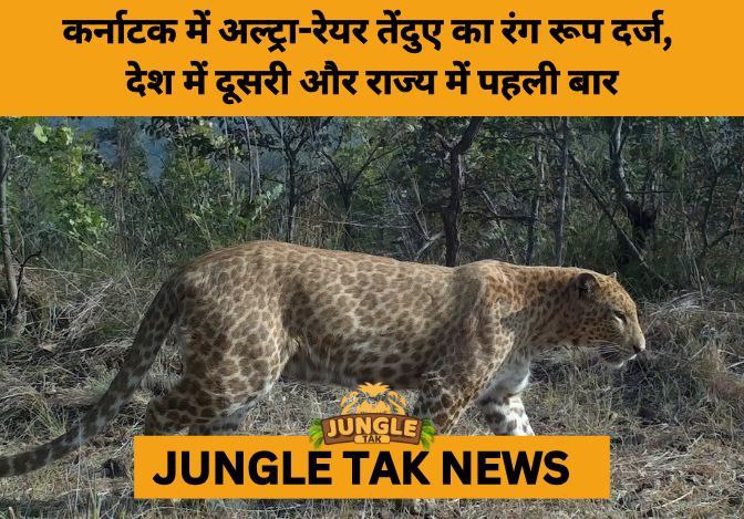 Ultra-Rare Leopard Colour Morph Spotted in Karnataka’s Vijayanagara, First Record for the State- JUNGLE TAK
