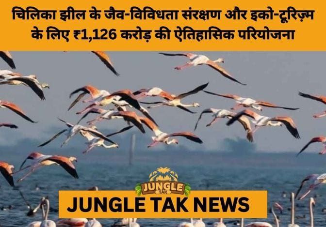 Odisha Approves ₹1,126 Crore Master Plan to Transform Chilika Lake into a Global Eco-Tourism and Conservation Model- JUNGLE TAK