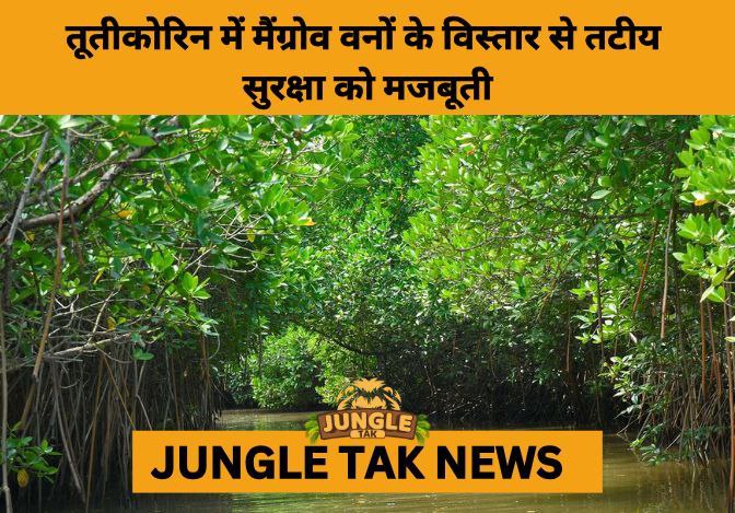 Thoothukudi Forest Department Boosts Mangrove Restoration to Strengthen Coastal Protection and Climate Resilience- JUNGLE TAK