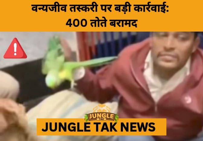 Police Bust Wildlife Trafficking Ring, Rescue Nearly 400 Parrots- JUNGLE TAK