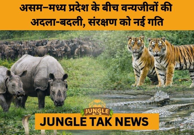 MP and Assam Agree on Inter-State Wildlife Exchange to Boost Conservation- JUNGLE TAK