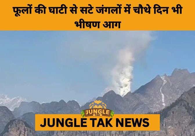 IAF Called In as Forest Fires Rage Near Valley of Flowers for 4th Day- JUNGLE TAK