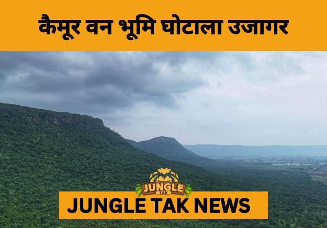 Illegal Sale of Protected Forest Land in Kaimur Sparks Governance and Conservation Concerns- JUNGLE TAK