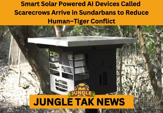 human-tiger conflict in Sundarbans