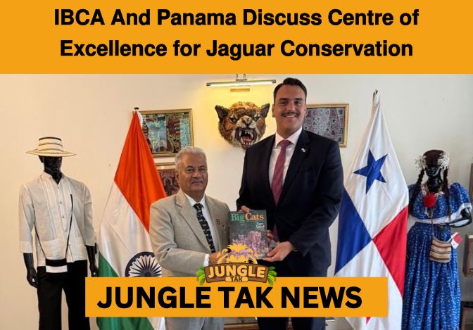 𝗜𝗕𝗖𝗔 𝗔𝗻𝗱 𝗣𝗮𝗻𝗮𝗺𝗮 𝗗𝗶𝘀𝗰𝘂𝘀𝘀 𝗖𝗲𝗻𝘁𝗿𝗲 𝗼𝗳 𝗘𝘅𝗰𝗲𝗹𝗹𝗲𝗻𝗰𝗲 𝗳𝗼𝗿 𝗝𝗮𝗴𝘂𝗮𝗿 𝗖𝗼𝗻𝘀𝗲𝗿𝘃𝗮𝘁𝗶𝗼𝗻- JUNGLE TAK