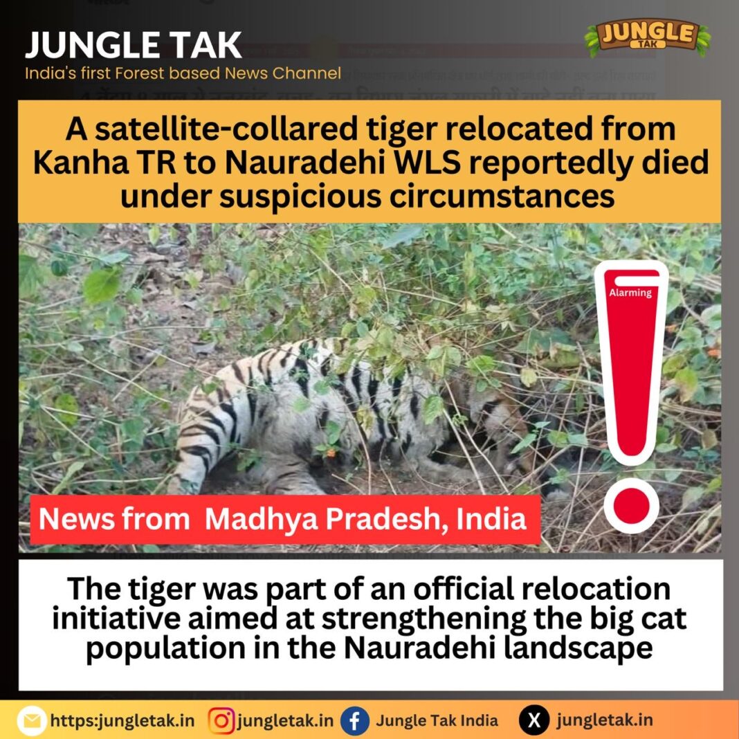 Nauradehi relocated tiger death