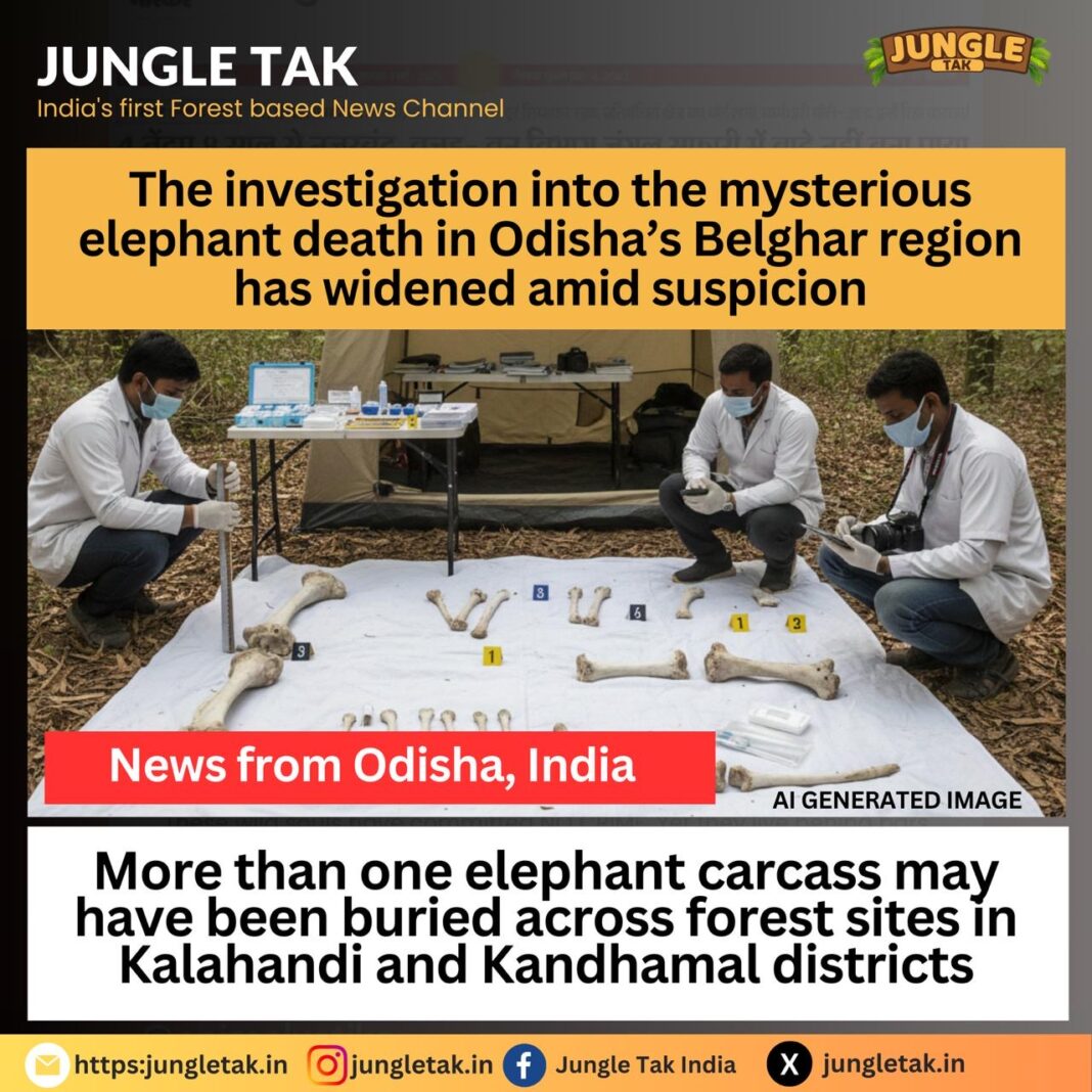Odisha Elephant Bones Probe