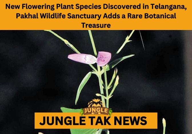 Pakhal Wildlife Sanctuary botanical discovery