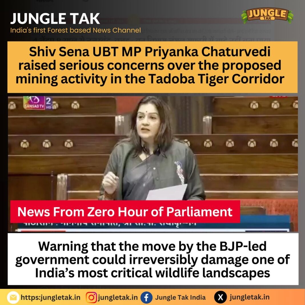 Tadoba Tiger Corridor