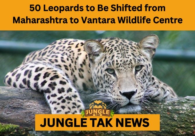 Vantara Wildlife Centre