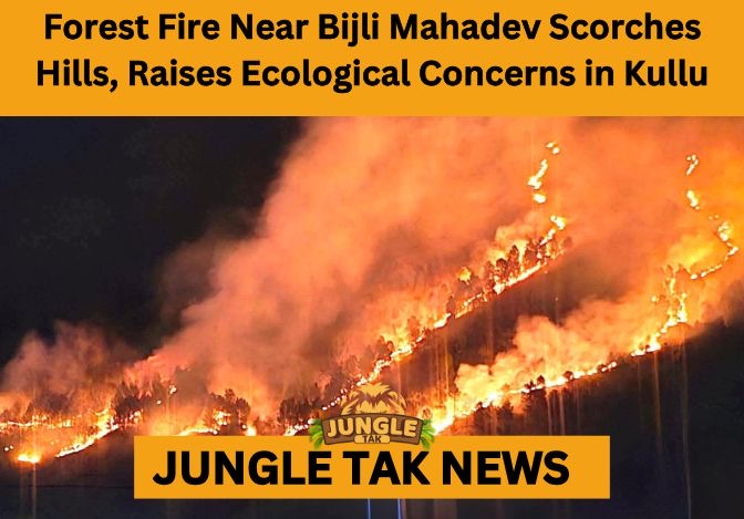 Bijli Mahadev forest fire