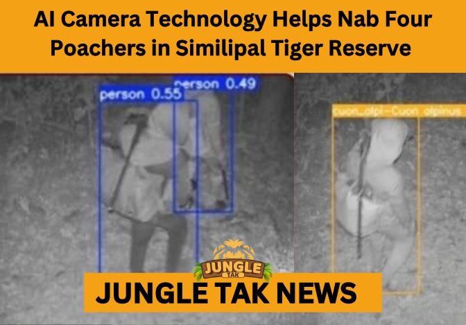 AI camera technology