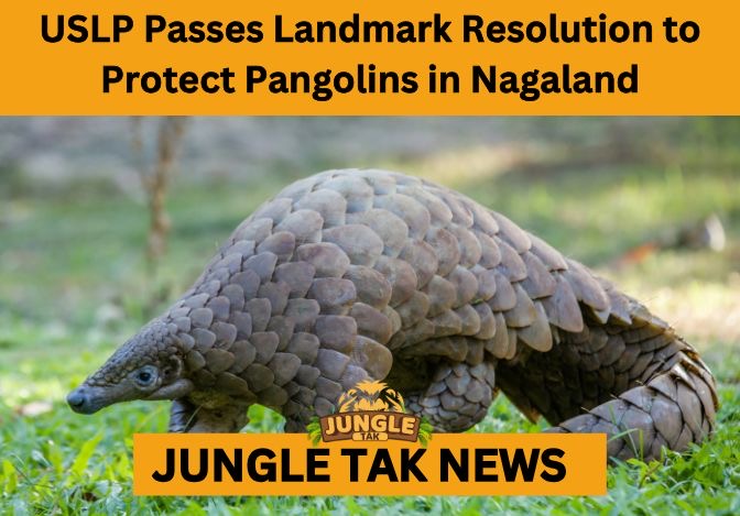 Pangolin Protection in Nagaland