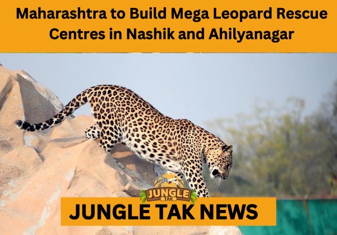 Leopard Rescue Centres in Maharashtra