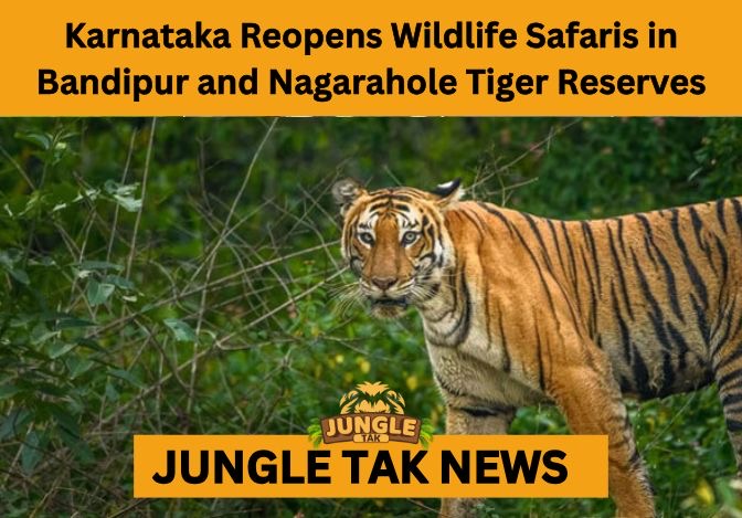 Karnataka reopens wildlife safaris