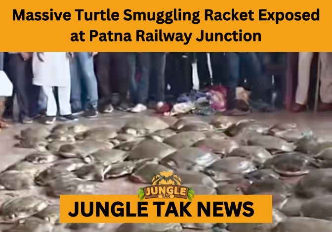 turtle smuggling racket at Patna railway junction