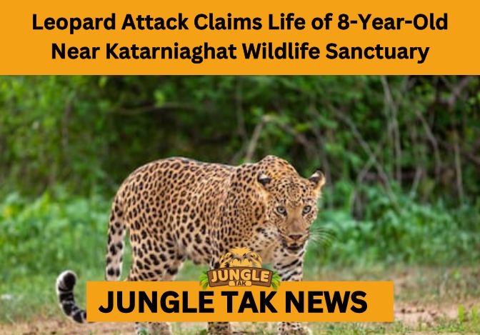 leopard attack near Katarniaghat