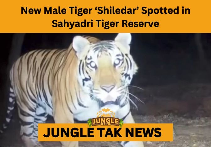 Sahyadri Tiger Reserve