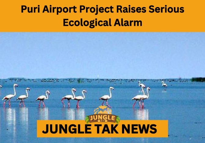 Puri airport ecological impact