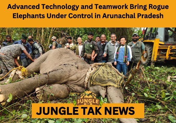 advanced technology and teamwork